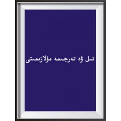 تىل ۋە تەرجىمە مۇلازىمىتى