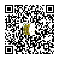 تاۋار ئىككى ئۆلچەملىك كودى