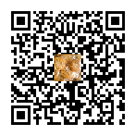 تاۋار ئىككى ئۆلچەملىك كودى