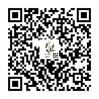 تاۋار ئىككى ئۆلچەملىك كودى